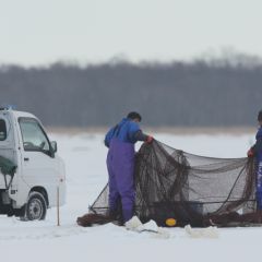 氷下待ち網漁のフォト作品