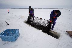 冬の氷下待ち網漁