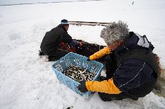 冬の氷下待ち網漁