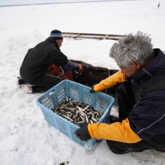 氷下待ち網漁のフォト作品