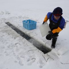 氷下待ち網漁のフォト作品