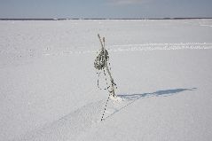 冬の氷下待ち網漁