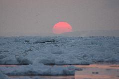 日の出と流氷