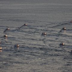 スケソウ漁のフォト作品