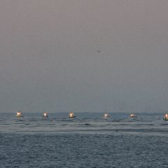 スケソウ漁のフォト作品