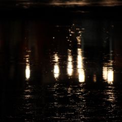 羅臼港のフォト作品