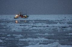 スケソウ漁と流氷