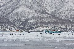 スケソウ漁と流氷