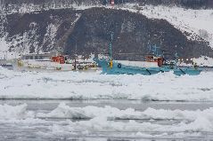 スケソウ漁と流氷