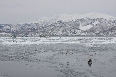 スケソウ漁と流氷