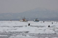 スケソウ漁と流氷