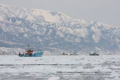 スケソウ漁と流氷