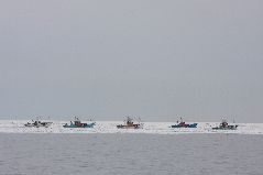 スケソウ漁と流氷