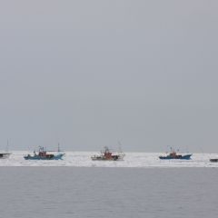 スケソウ漁のフォト作品