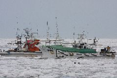 スケソウ漁と流氷