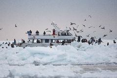 冬の流氷観光船