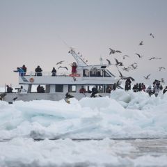 流氷観光船のフォト作品
