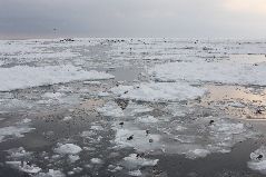 冬の流氷観光船