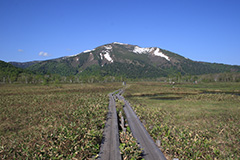 夏の尾瀬ヶ原