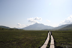 夏の尾瀬ヶ原