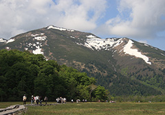 夏の尾瀬ヶ原