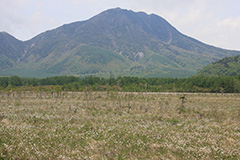 夏の戦場ヶ原