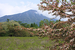 夏の戦場ヶ原