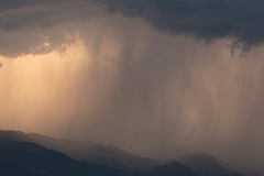 夏の雨