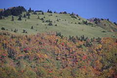 紅葉の八間山