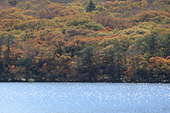 赤城山の紅葉