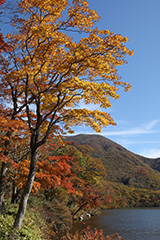 赤城山の紅葉