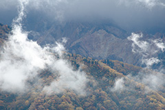 白山の紅葉