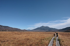 紅葉の尾瀬ヶ原