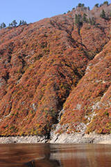 紅葉の奥利根湖