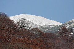 冠雪した秋の牛ヶ岳