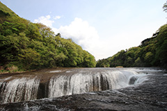 新緑の吹割の滝