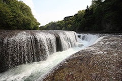 新緑の吹割の滝