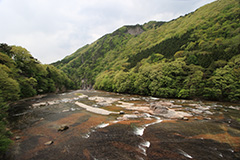 新緑の吹割の滝