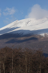 冠雪した冬の浅間山