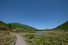 夏の覚満淵