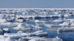 冬の流氷