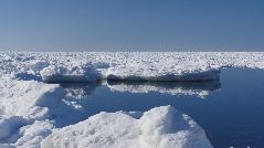 冬の流氷