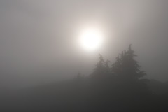 夏の霧