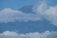 夏の富士山