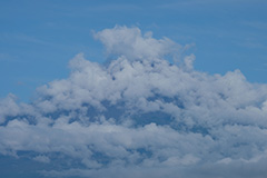 夏の富士山