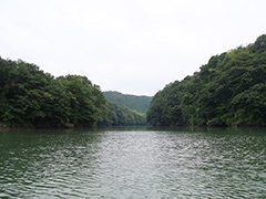 夏の高津戸ダム