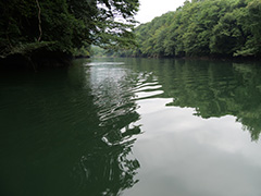 夏の高津戸ダム