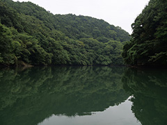 夏の高津戸ダム