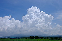 夏の入道雲