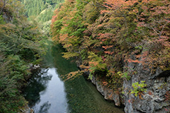 紅葉の片品川